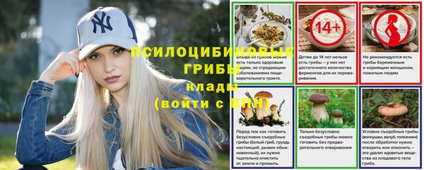 ПСИЛОЦИБИНОВЫЕ ГРИБЫ Медногорск